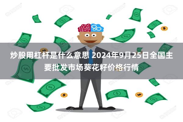 炒股用杠杆是什么意思 2024年9月25日全国主要批发市场葵花籽价格行情