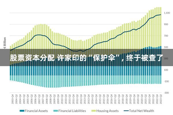 股票资本分配 许家印的“保护伞”, 终于被查了