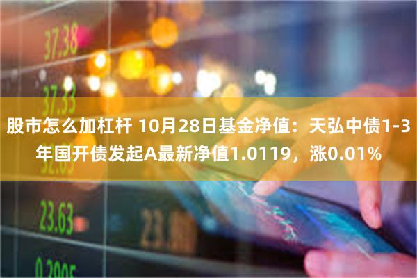 股市怎么加杠杆 10月28日基金净值：天弘中债1-3年国开债发起A最新净值1.0119，涨0.01%