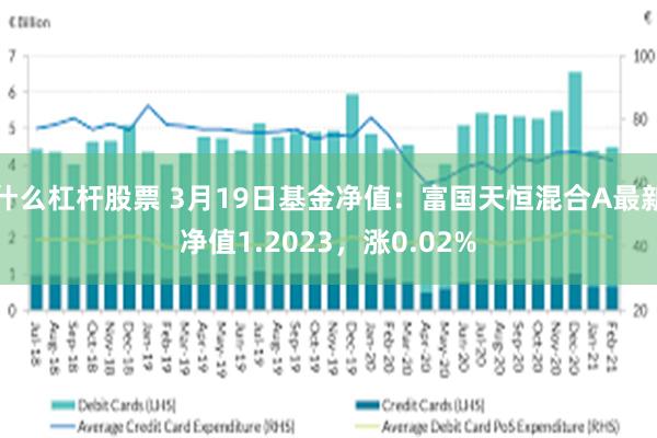 什么杠杆股票 3月19日基金净值：富国天恒混合A最新净值1.2023，涨0.02%