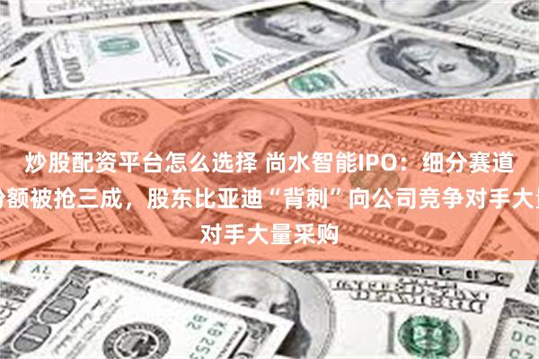 炒股配资平台怎么选择 尚水智能IPO：细分赛道市场份额被抢三成，股东比亚迪“背刺”向公司竞争对手大量采购